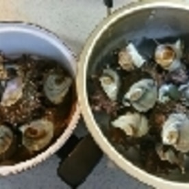 美味しく 簡単に サザエの茹で方 保存法 レシピ 作り方 By Tomato 楽天レシピ 美味しく 簡単に サザエの茹で方 保存法 レシピ 作り方 By Tomato 楽天レシピ